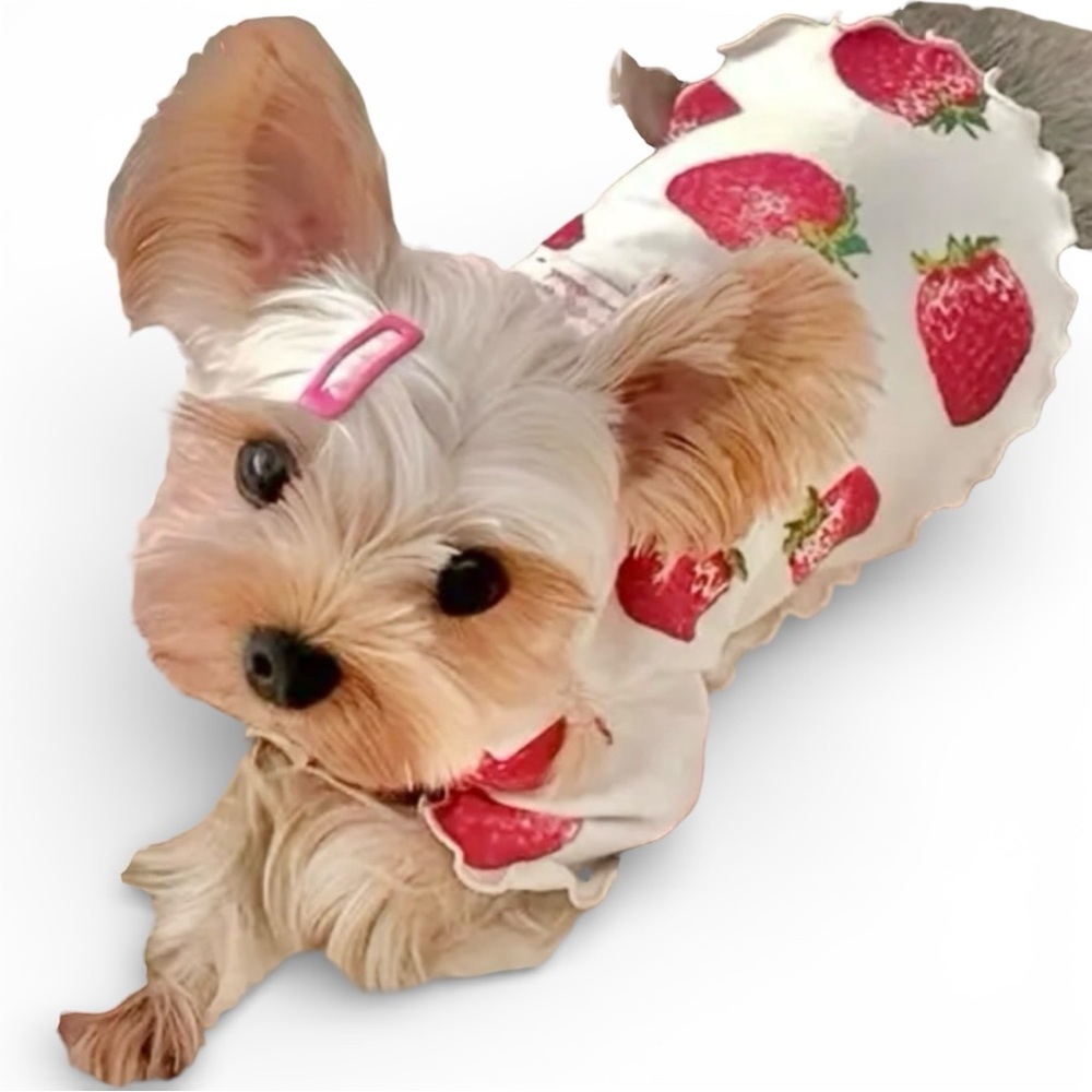 SOLD - STRAWBERRY PRINT SLEEVELESS PULLOVER DOG HI-LOW TOP - Picture 7 of 7
